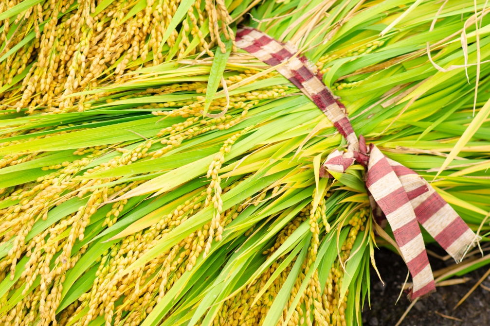 大倉物產OKURA BUSSAN 旗艦店