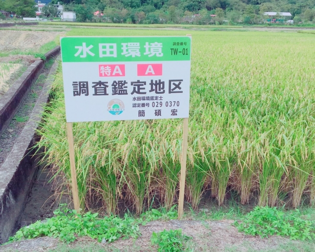 花東地區-水田環境資訊