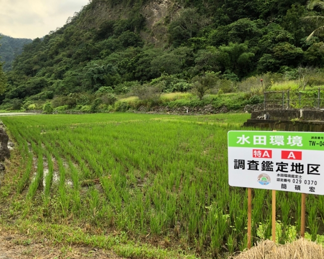 西部地區-水田環境資訊